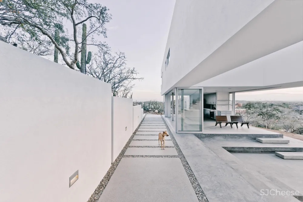 新作 | Campos Studio:墨西哥 Zacatitos 04住宅