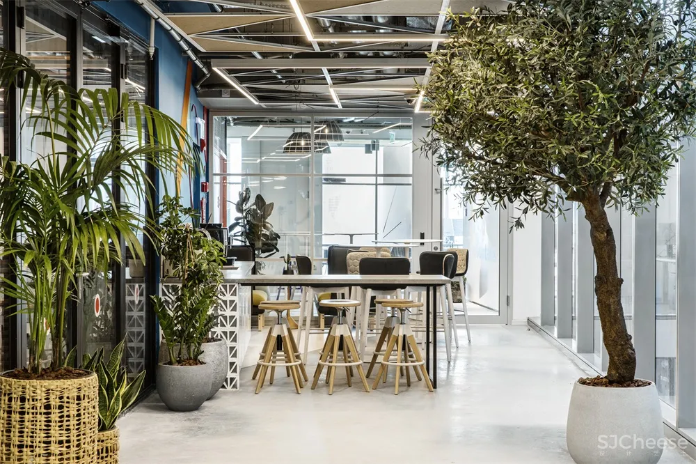 Roy David Studio | 以色列Akamai办公室