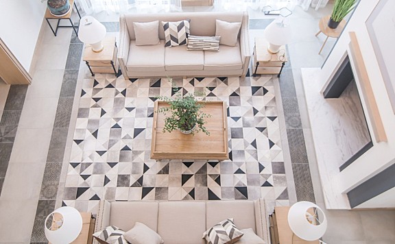 进 化 | 第七个故事