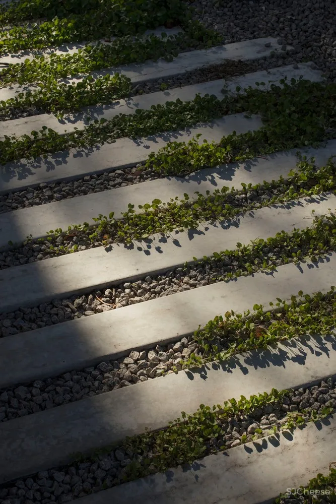 新作 | Edition Office 公共又居家的庇护所：Hawthorn 住宅