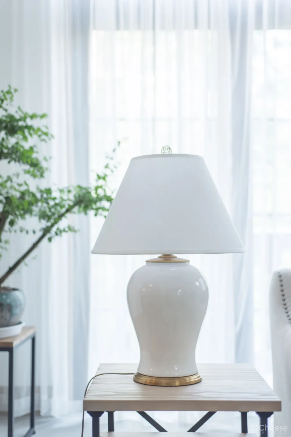 进 化 | 第七个故事