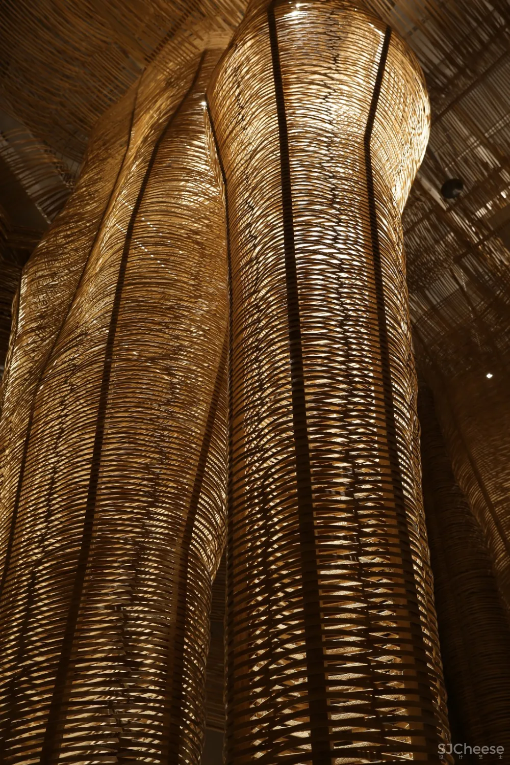 万物生长 Growing of Things