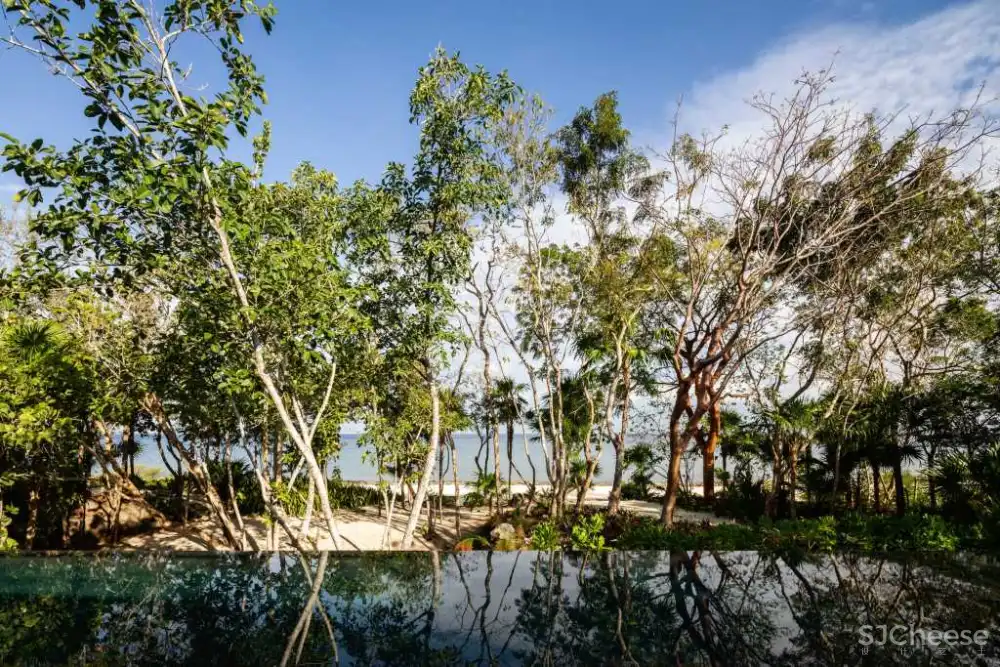 Sordo Madaleno | 墨西哥COZUMEL海岛别墅