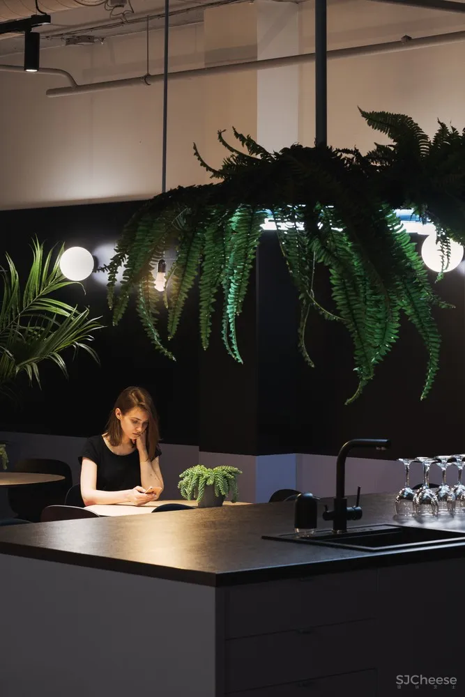 首发 | Studio 11:PandaDoc Office