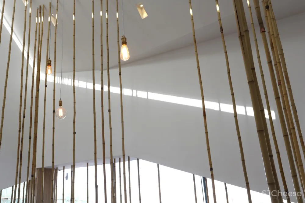 故园·似是而非 Gu Yuan · Specious Feeling