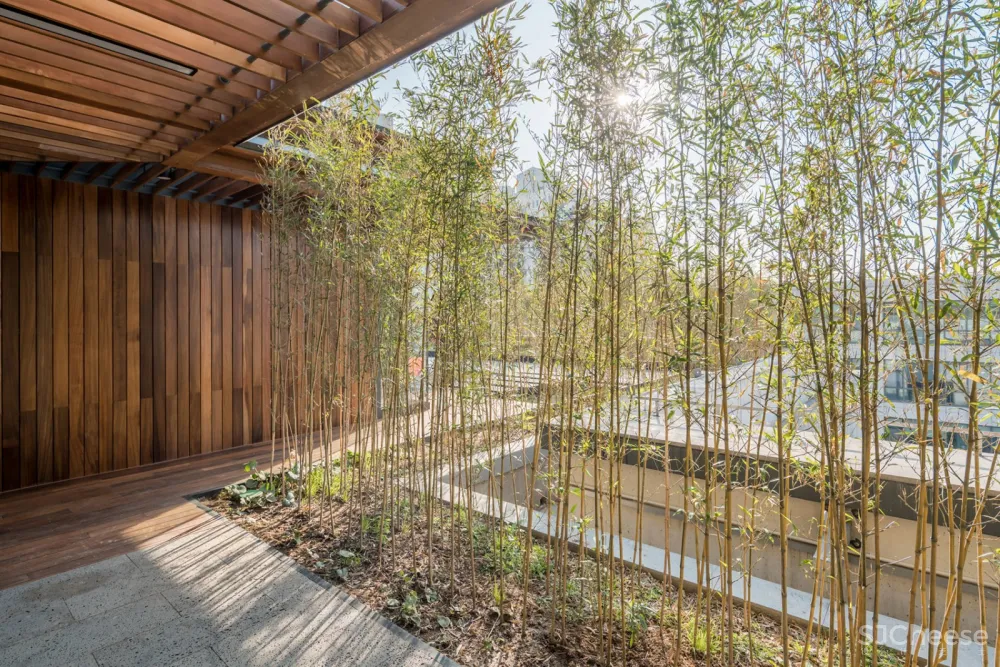 新作 | 致正建筑工作室:上海 屋上三间