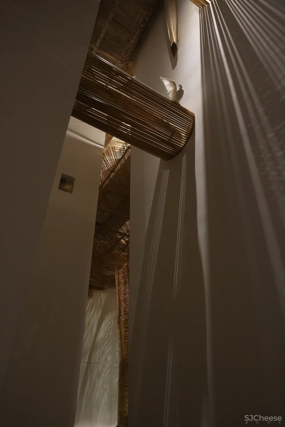 万物生长 Growing of Things