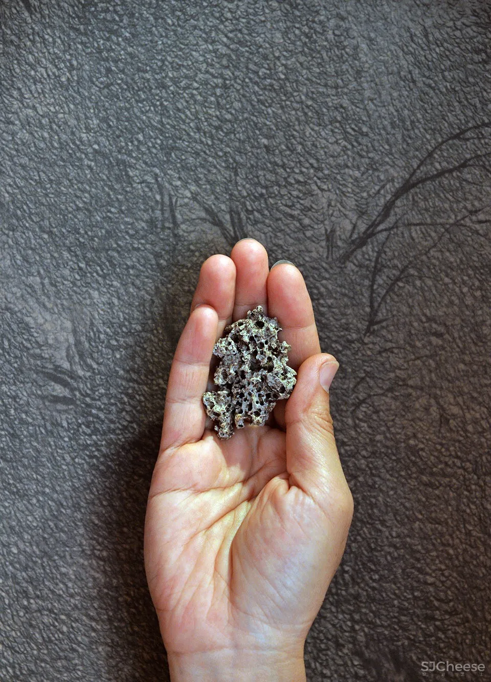 新作 | 造园工作室:杭州 小洞天