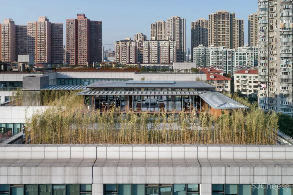 新作 | 致正建筑工作室:上海 屋上三间