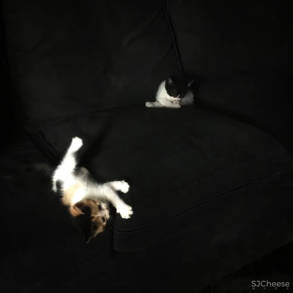 2019孟也最新作品－孟也空间创意设计事务所