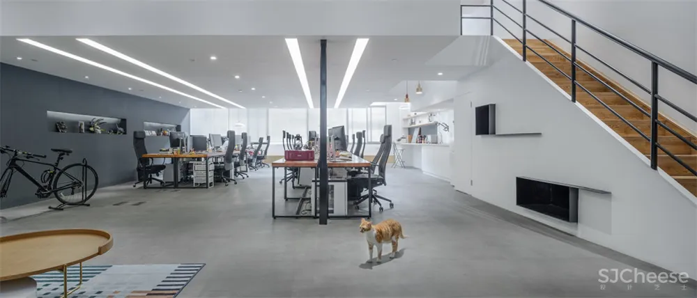 Atelier D+Y | 上海梵布互动办公室设计