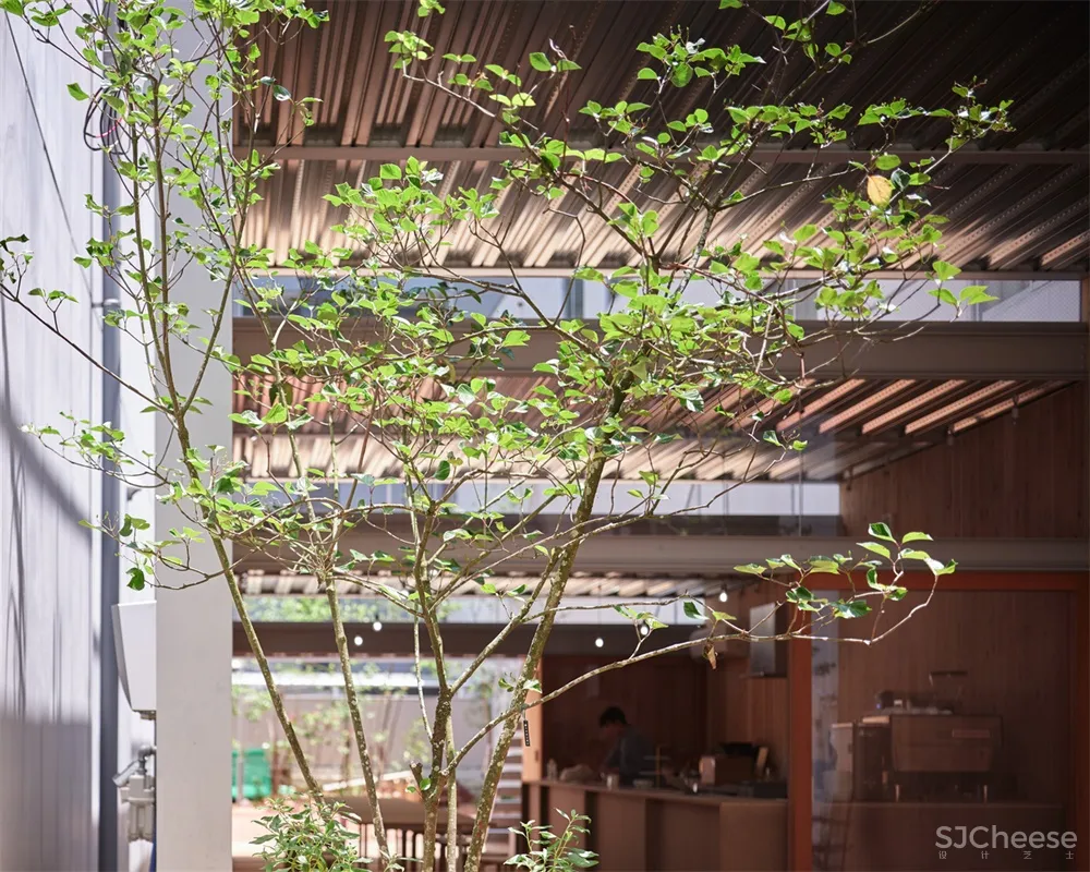 Yabashi architects | 城市公共空间的私密空间