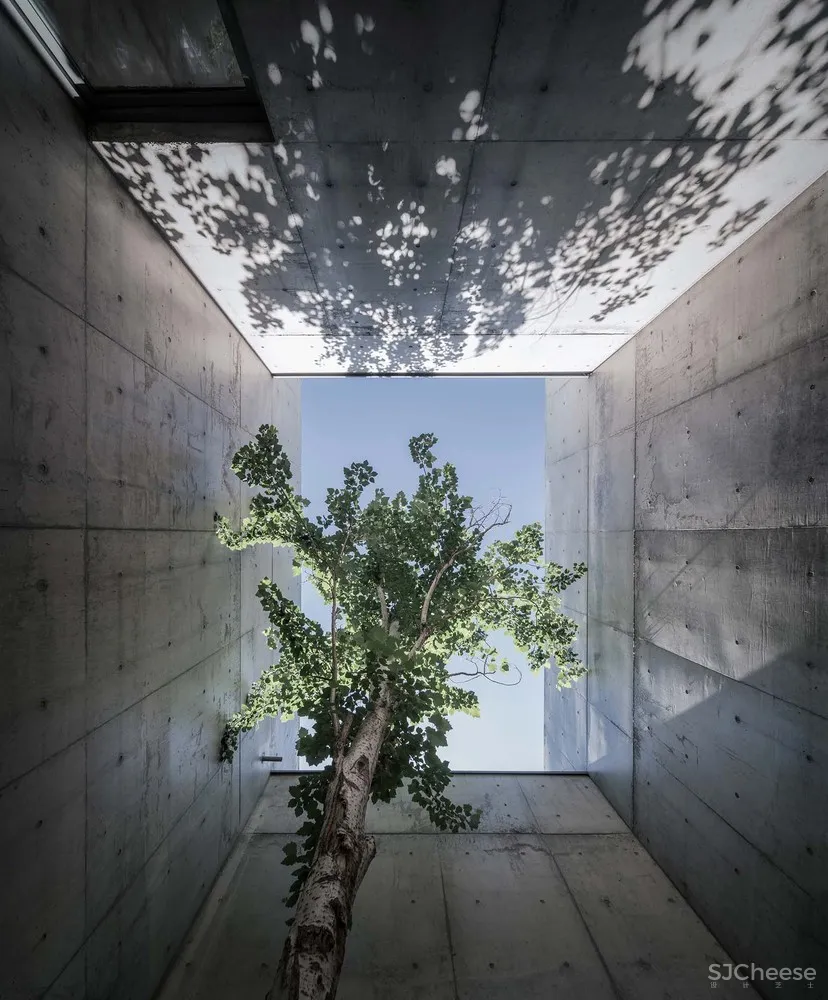 直向建筑 | 北戴河新区海边y餐厅
