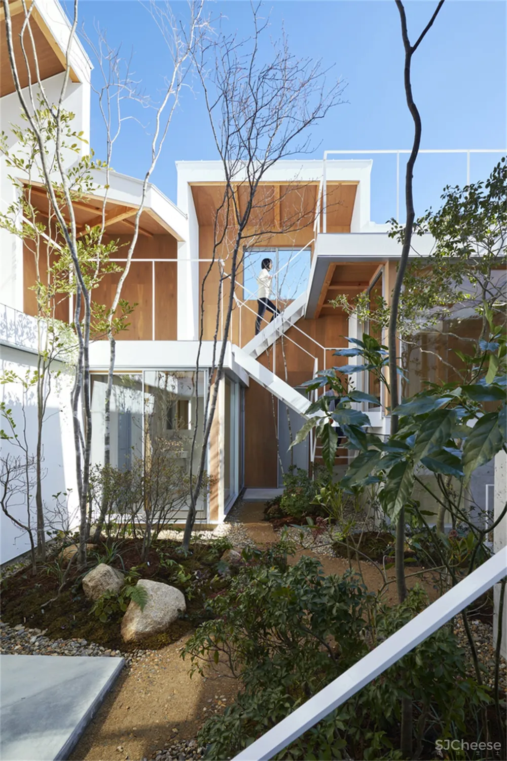 Tomohiro Hata | 日本Loop Terrace住宅设计