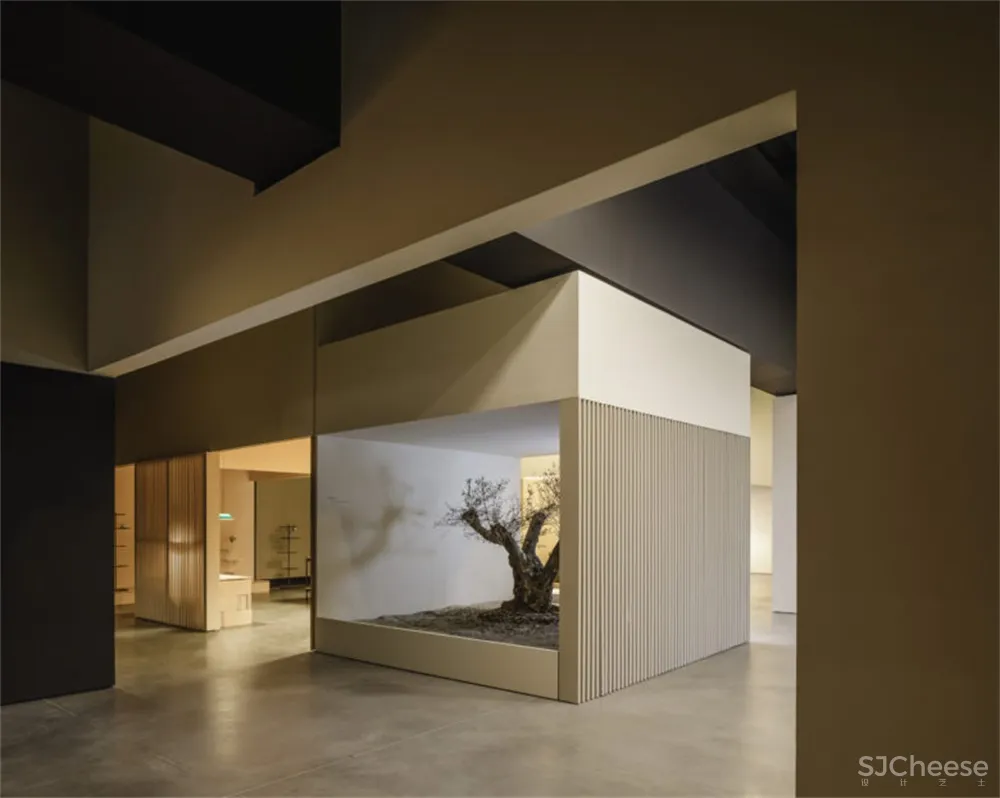 Francesc Rifé Studio | 巴塞罗那Vibia展厅