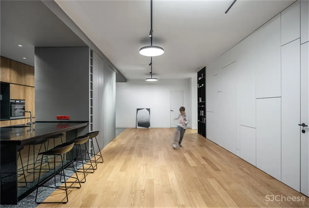 Bogdanova Buerau | 基辅两公寓改造时尚住宅