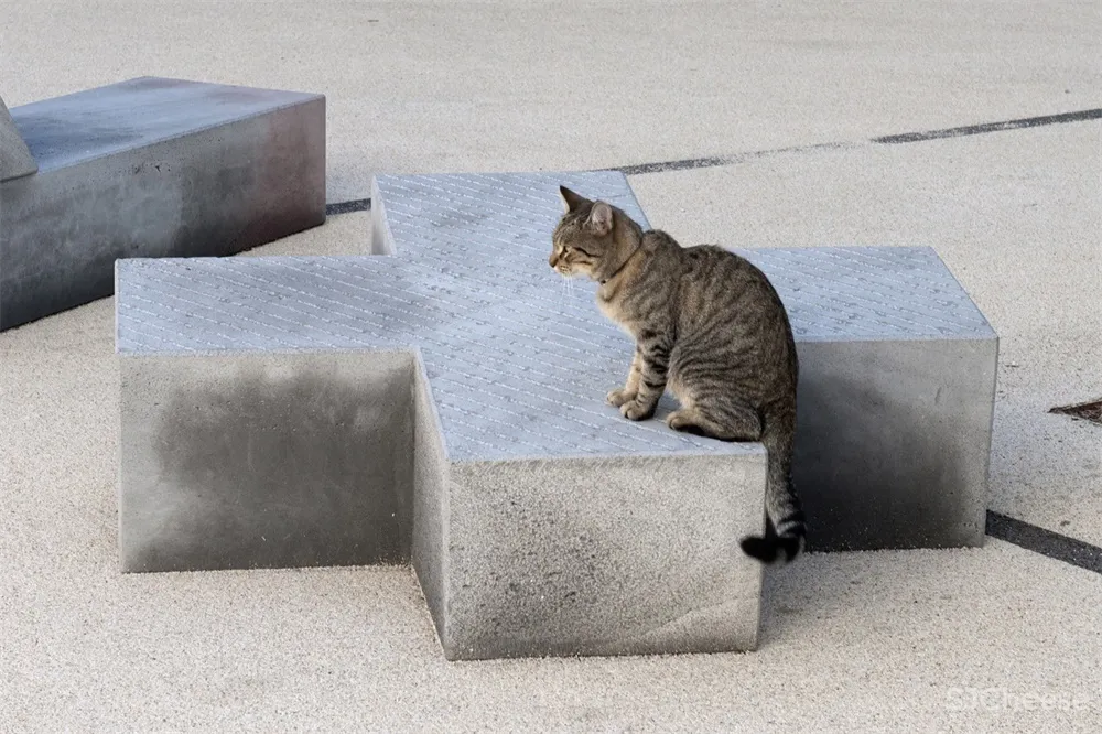 Olivier Vadrot | 普罗旺斯Orchestre字母“凳”