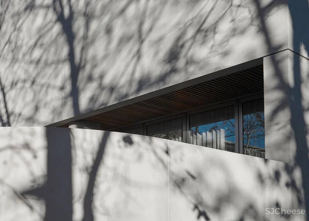 新作 | Davidov Architects:墨尔本 SLD住宅