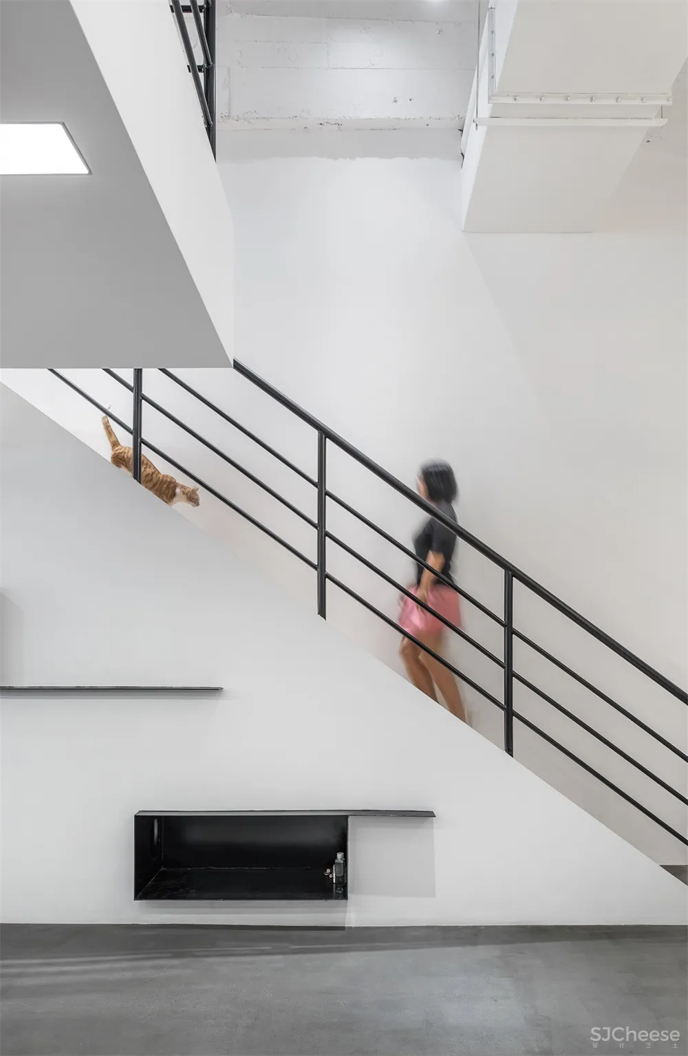 Atelier D+Y | 上海梵布互动办公室设计