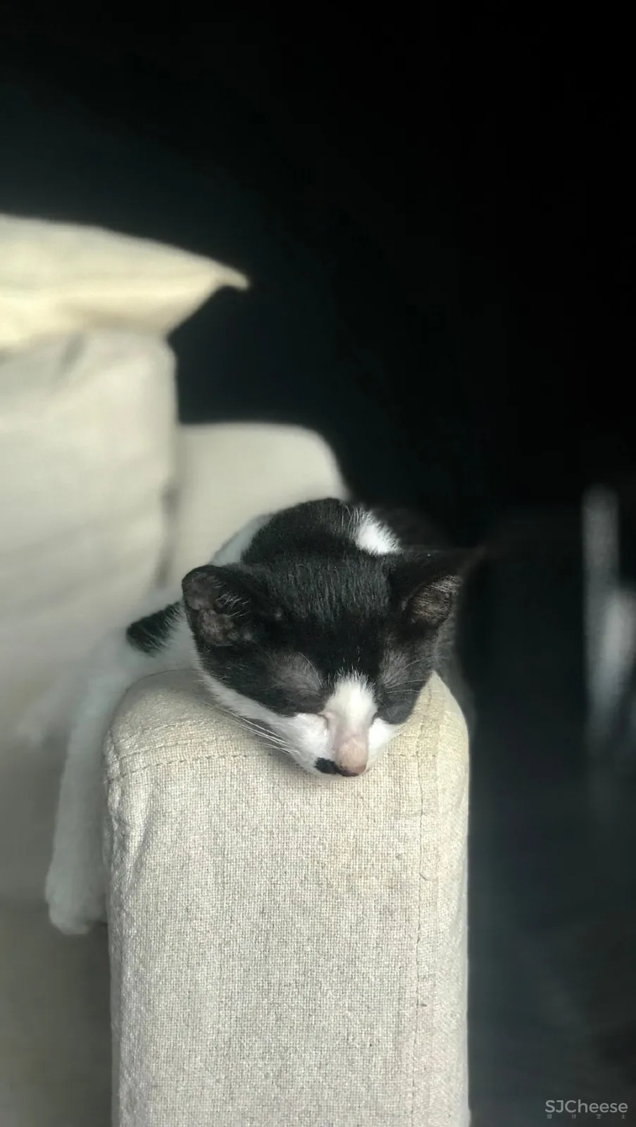 2019孟也最新作品－孟也空间创意设计事务所