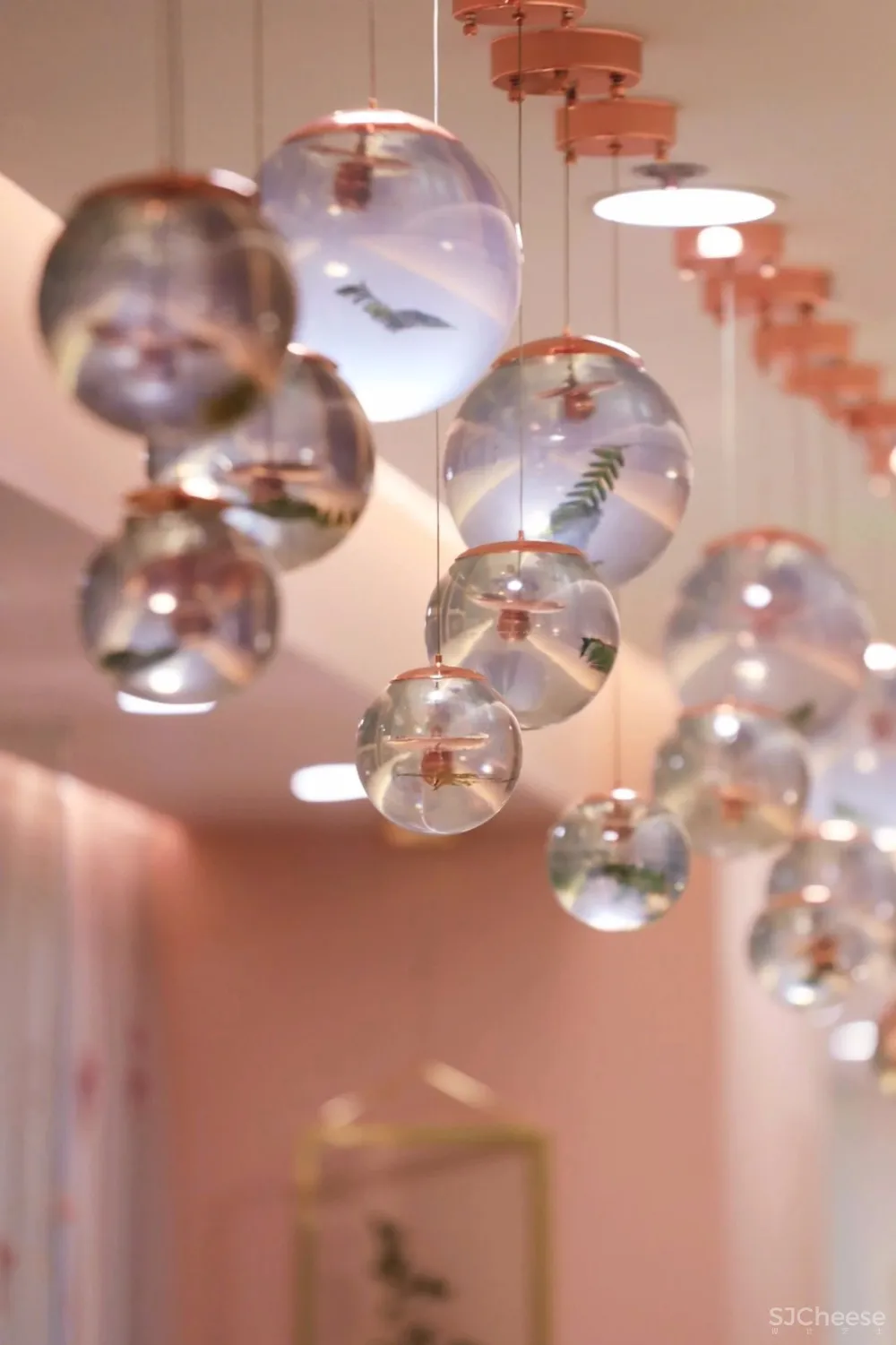 容德医馆：自然原色的本草宣言