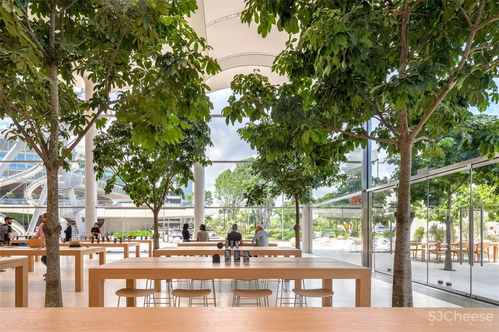 Foster + Partners | 迈阿密新Apple苹果专卖店