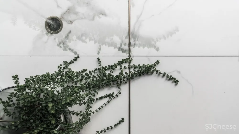 新作 | 近境制作:台北 窗/介景 – 仁爱牙科二诊