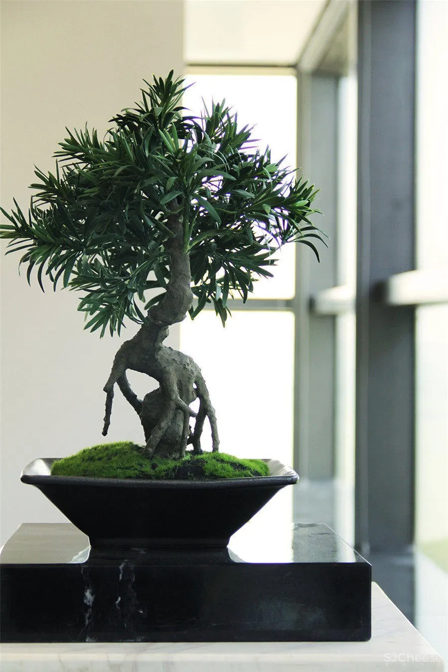 厦门观音山办公室:用实力筑造财富基因