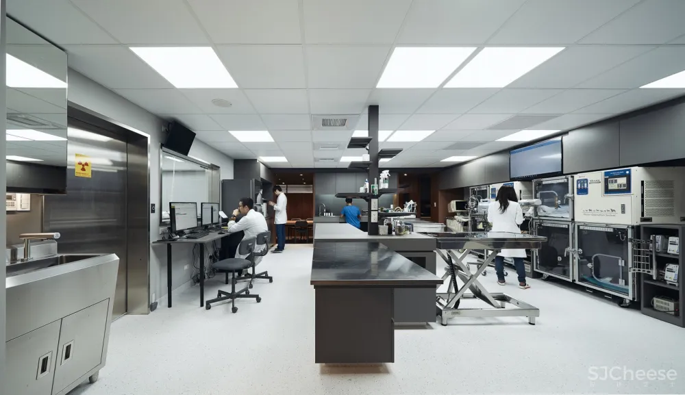 带毛孩去洞窟看医生！唤醒动物原始记忆的新型态医院 觉知造所