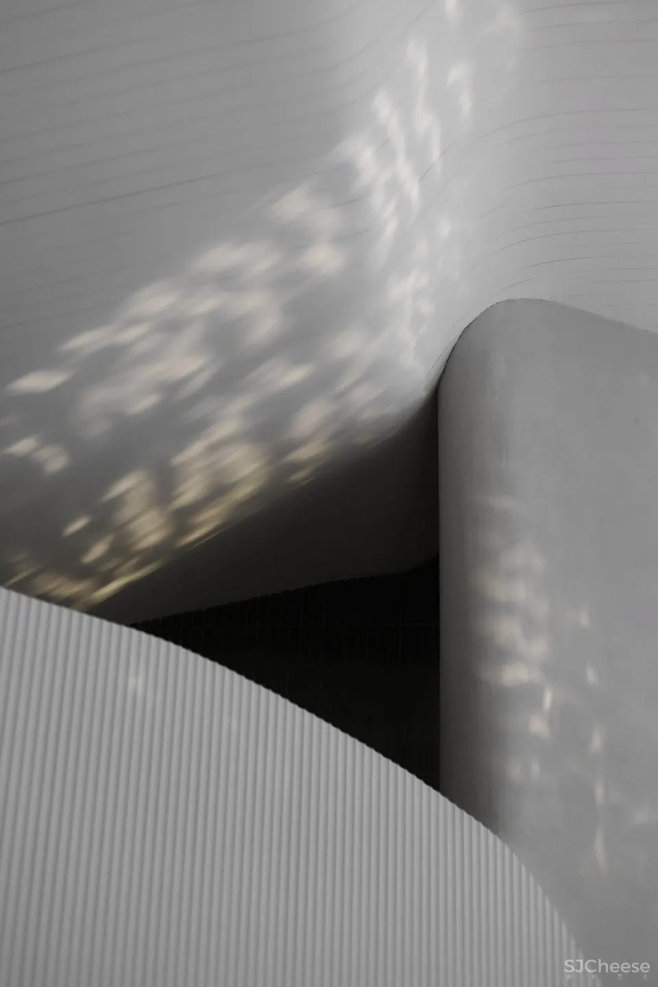 Rejuve Lab皮肤诊所，上海 / Mur Mur Lab 发材