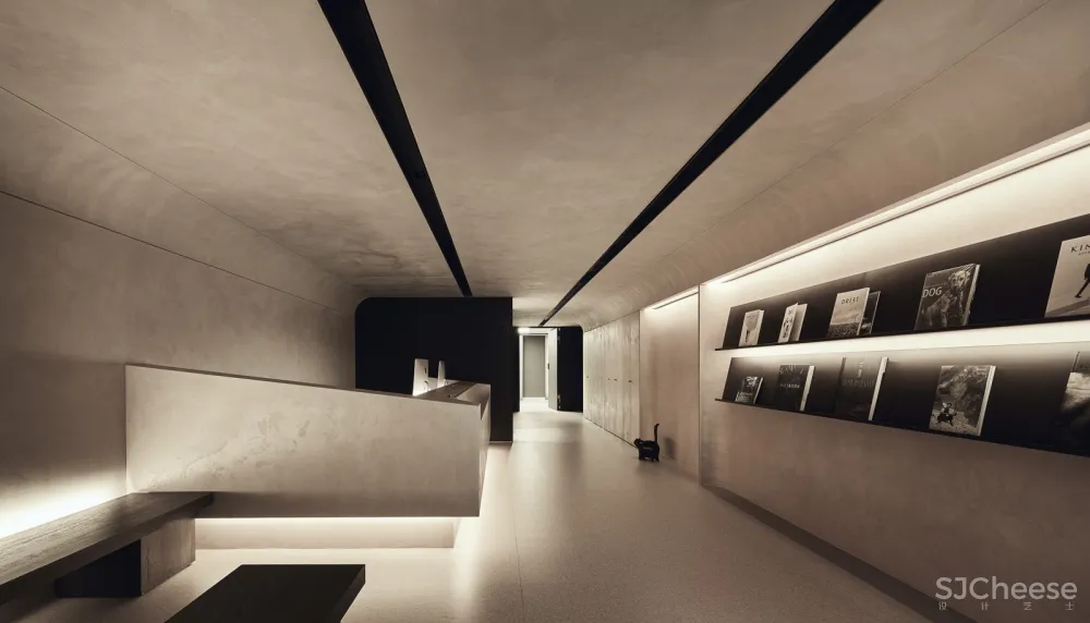 带毛孩去洞窟看医生！唤醒动物原始记忆的新型态医院 觉知造所