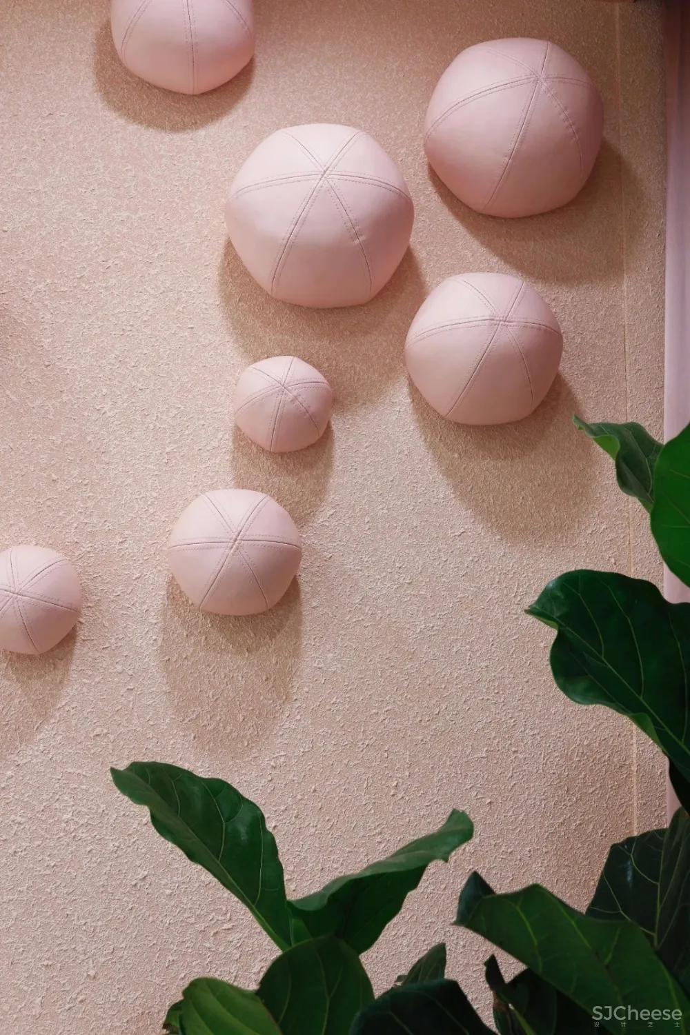 容德医馆：自然原色的本草宣言