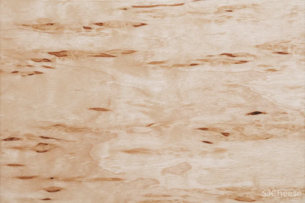 新作 | Studio David Thulstrup:哥本哈根 Mark Kenly Domino Tan服装旗舰店