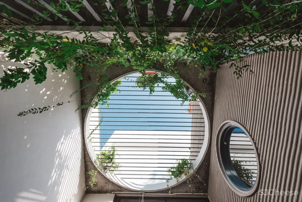 首发 | Neogenesis + Studi0261,Jungalow简约住宅