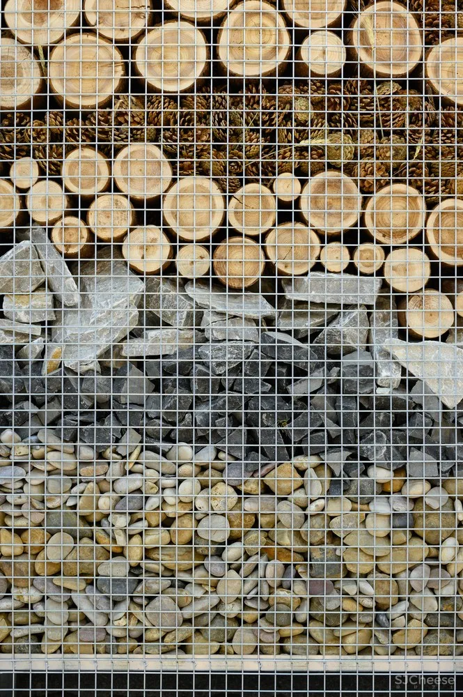 裸筑更新 | 巨鹿集团永年菜场