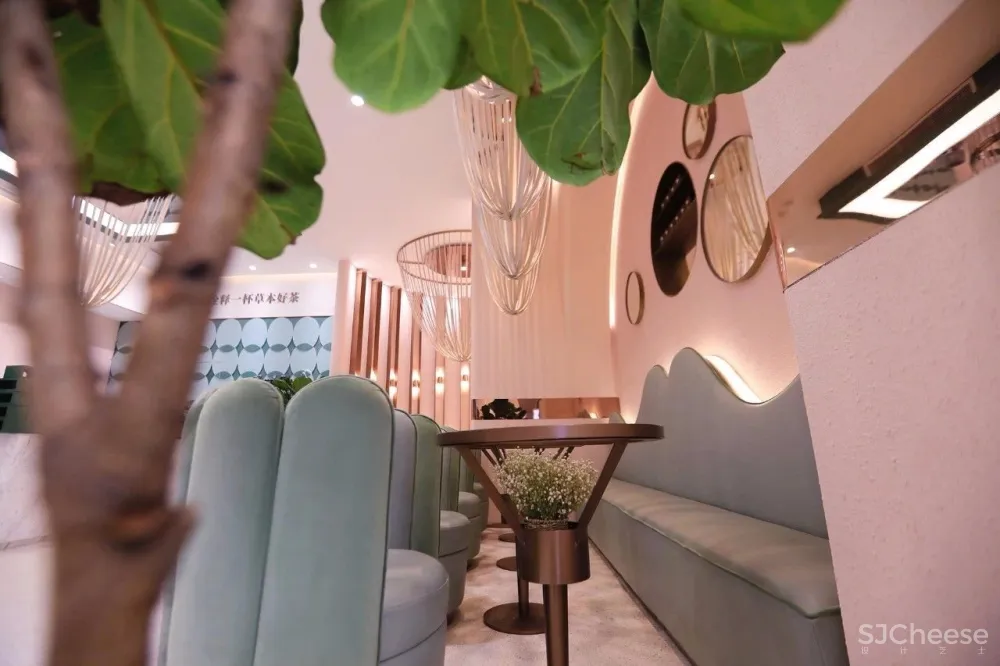 容德医馆：自然原色的本草宣言