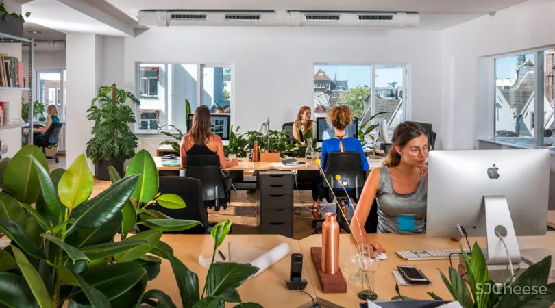 TANK | 荷兰TANK建筑与设计机构工作室