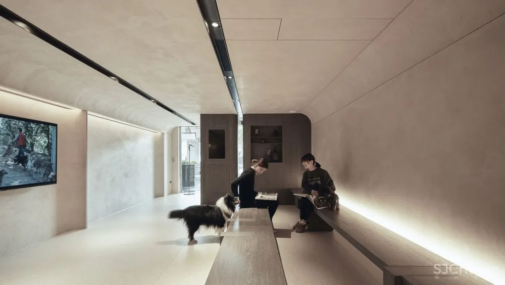 带毛孩去洞窟看医生！唤醒动物原始记忆的新型态医院 觉知造所