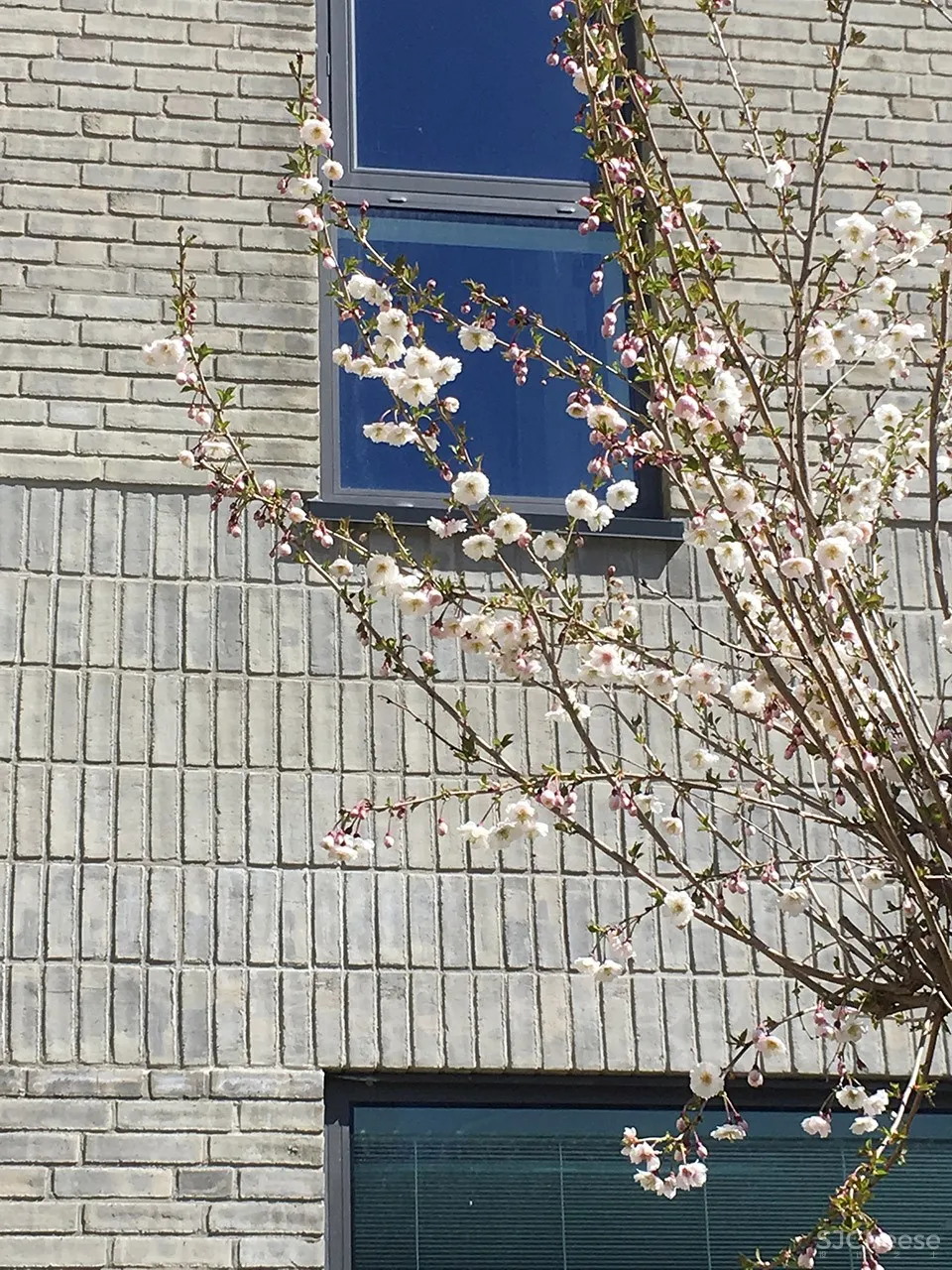 Holstebro健康中心,丹麦 / Arkitema Architects