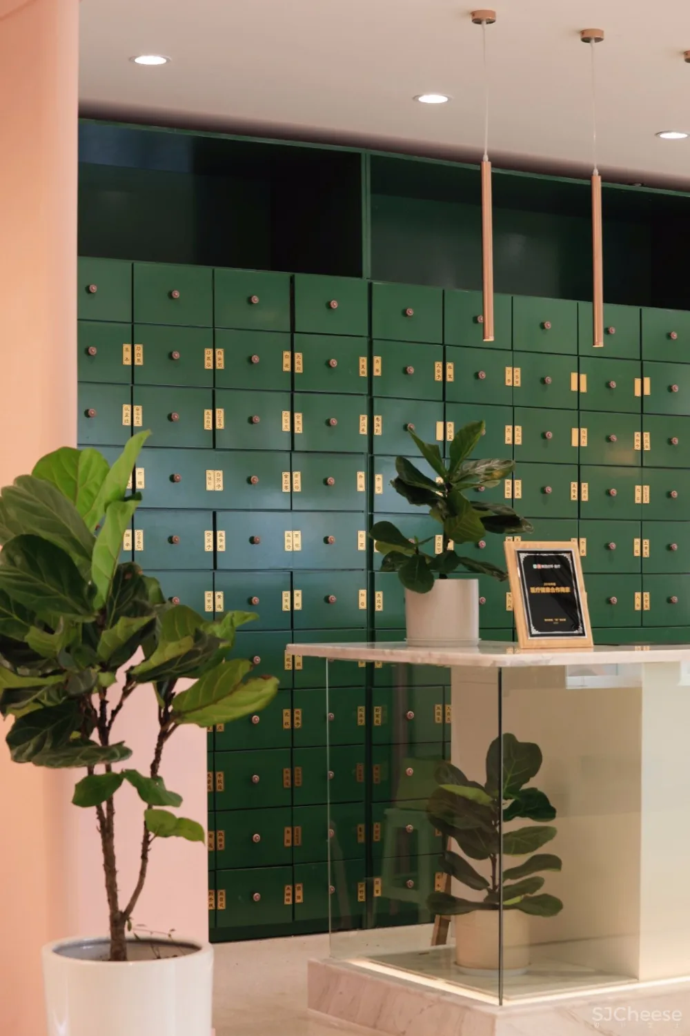 容德医馆：自然原色的本草宣言