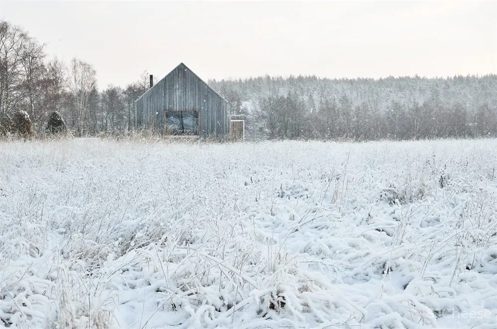 MNy Arkitekter | 芬兰Tenala小湖边住宅Åkerudden