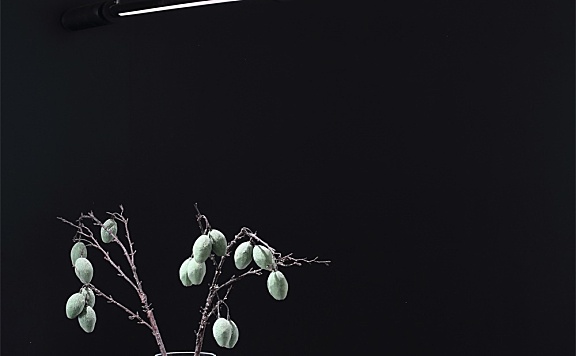 吾索设计 | 南京·保利梧桐语-织境