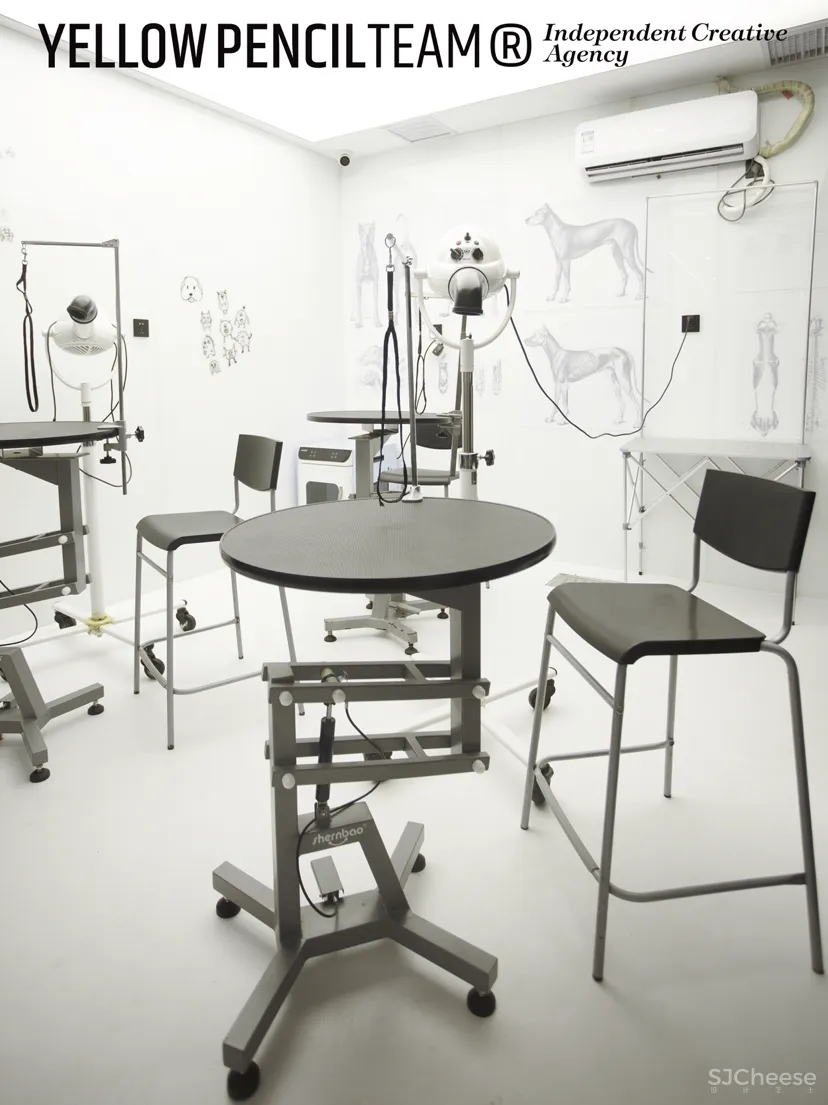 THE WAY PET LAB 犬岛宠物生活