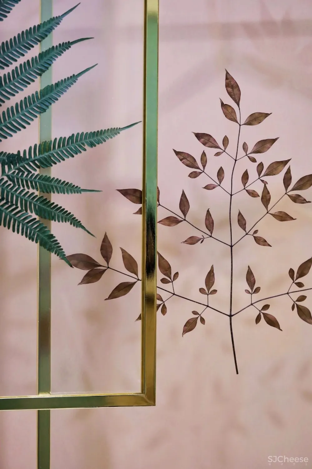 容德医馆：自然原色的本草宣言