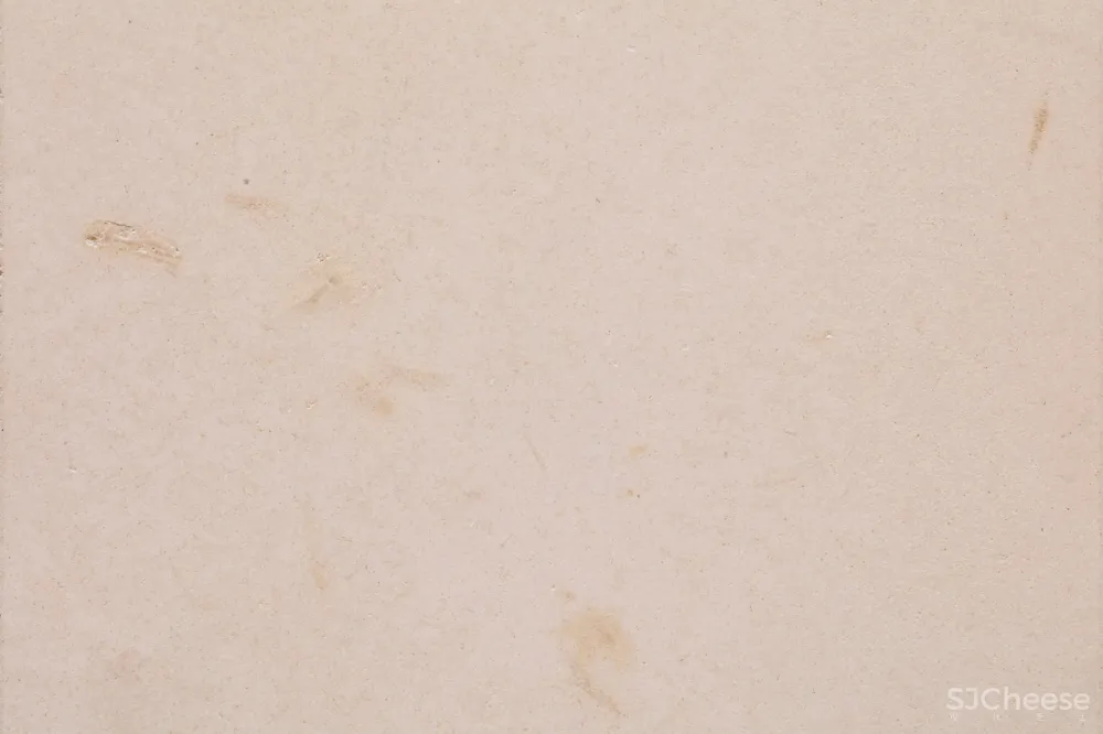 新作 | Studio David Thulstrup:哥本哈根 Mark Kenly Domino Tan服装旗舰店