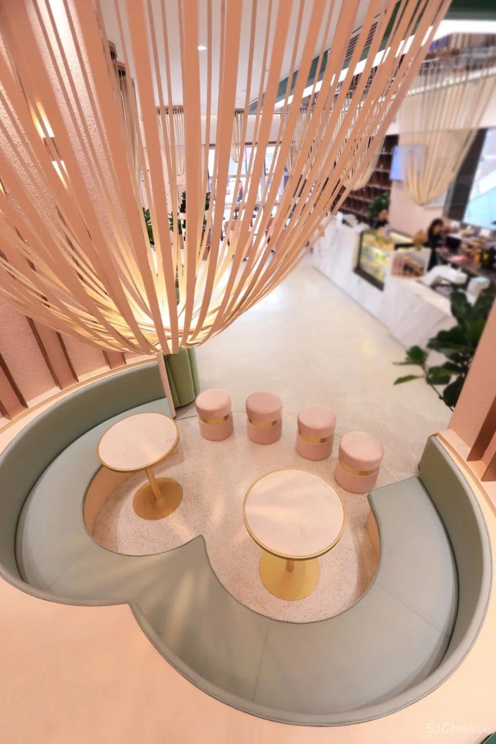 容德医馆：自然原色的本草宣言