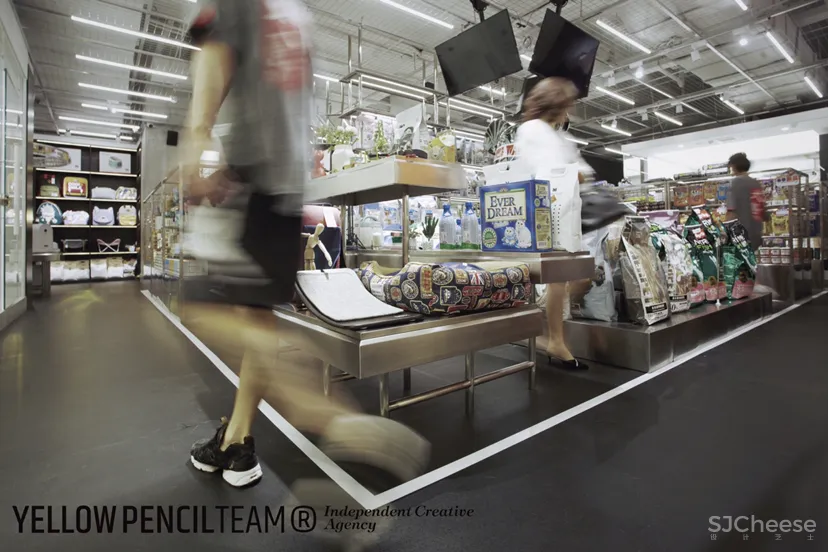 THE WAY PET LAB 犬岛宠物生活