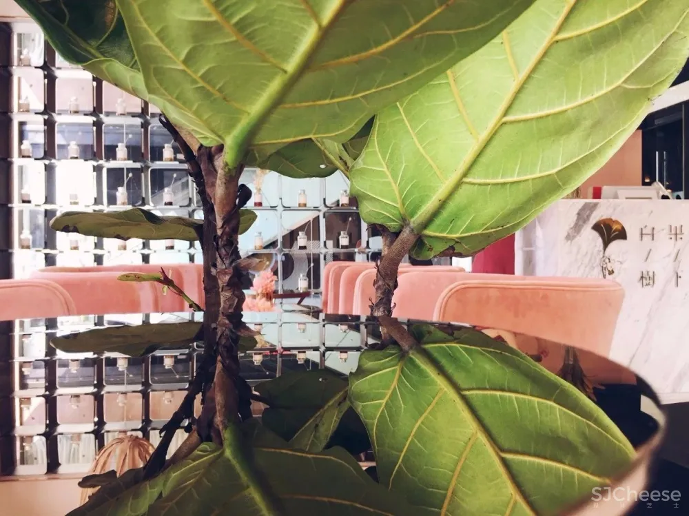 容德医馆：自然原色的本草宣言