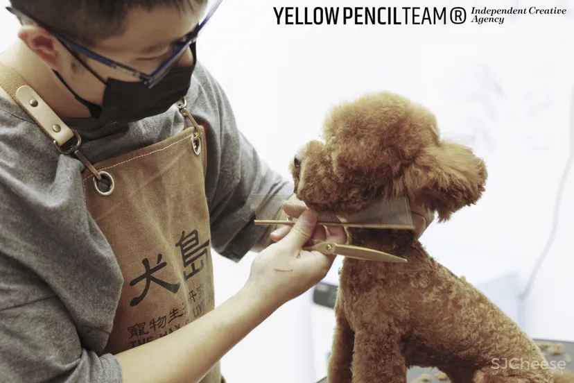 THE WAY PET LAB 犬岛宠物生活