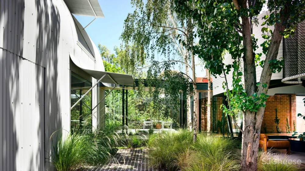 首发 | Austin Maynard设计,这所房子是写给Fitzroy的情书